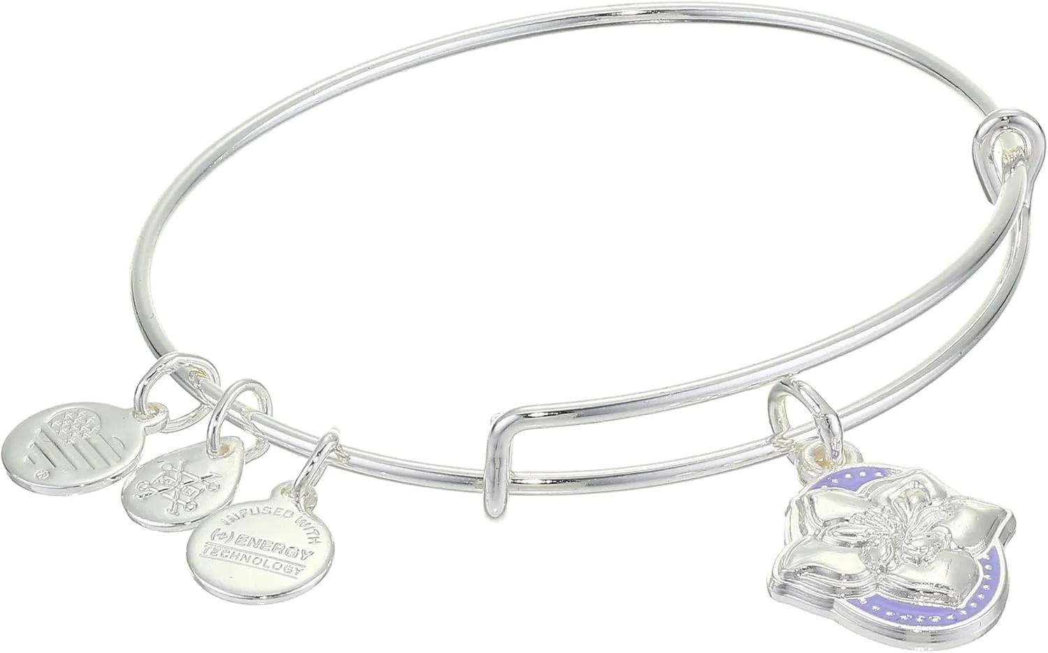 Alex and Ani Color Infusion Bangle Bracelet Silver/Wildflower One Size, A20EBSP04SS, Shiny Silver