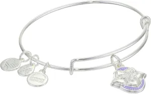 Alex and Ani Color Infusion Bangle Bracelet Silver/Wildflower One Size, A20EBSP04SS, Shiny Silver