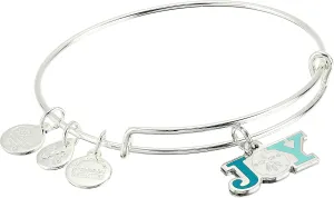 Alex and Ani Color Infusion, Joy Sand Dollar Bangle Bracelet Shiny Silver One Size