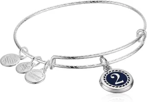 Alex and Ani Color Infusion Numerology Two EWB, Shiny Silver, One Size (A20EBNUM2SS)