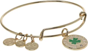 Alex and Ani Happy Go Lucky Bracelet Shiny Gold One Size