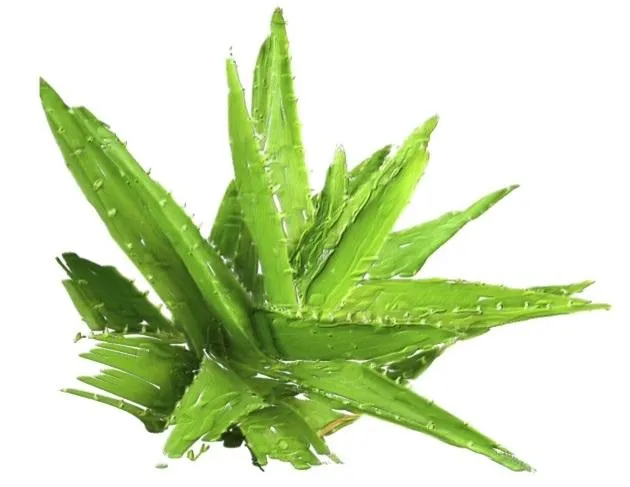 Certified Organic Rinse Free Facial Cleanser|Aloe vera|purify|sensitive skin|Moisturize