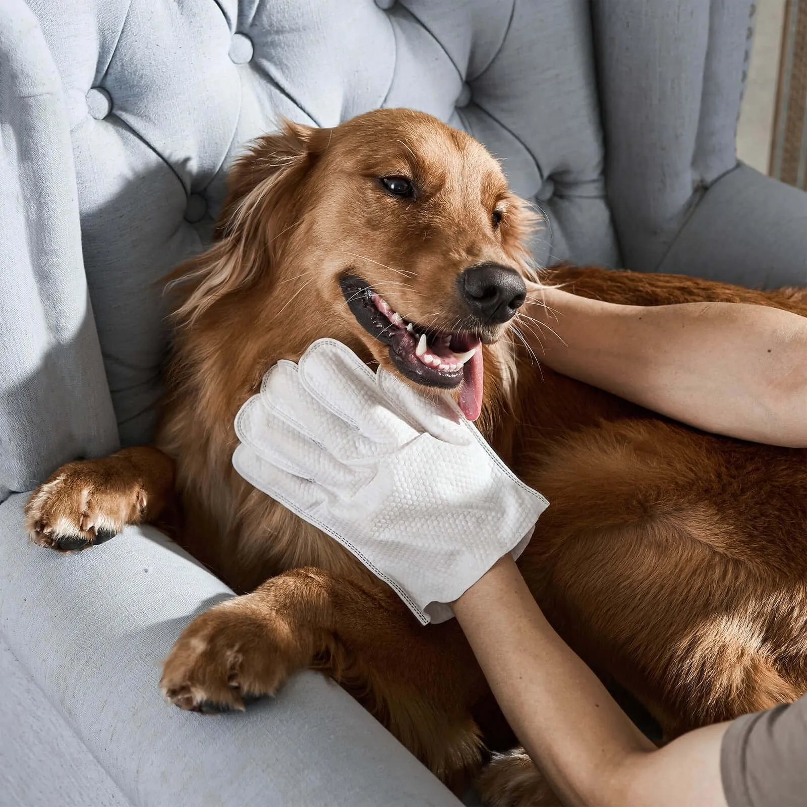 Hot Sale 49% OFFDeodorizing Pet Glove Wipes