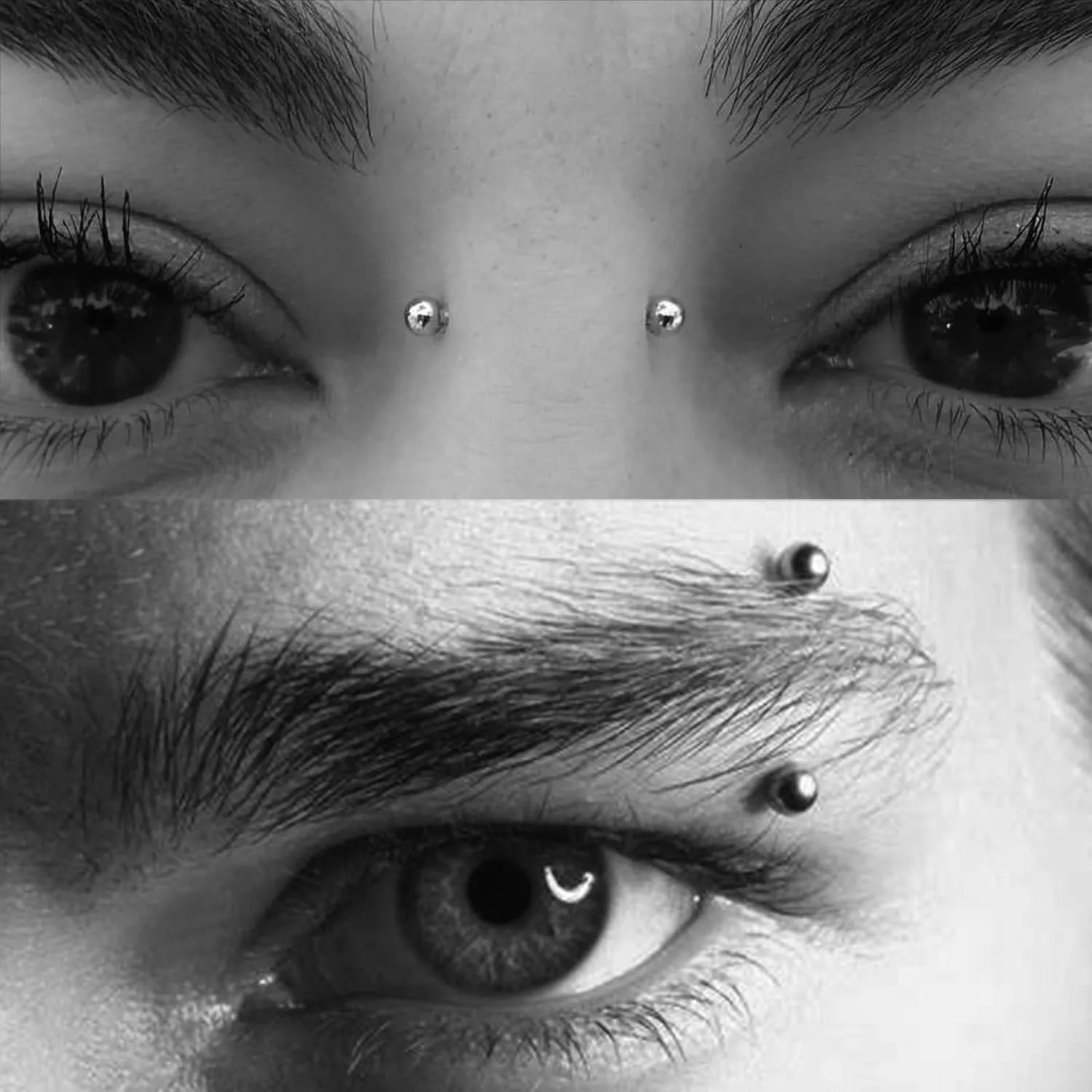 Longita Rook Piercing Jewelry Rook Jewelry Rook Earrings Surgical Steel Silver Gold Eyebrow Piercing Jewelry Internally Threaded Eyebrow Rings 16g Vertical Labret Lip Jewelry 8mm 10mm