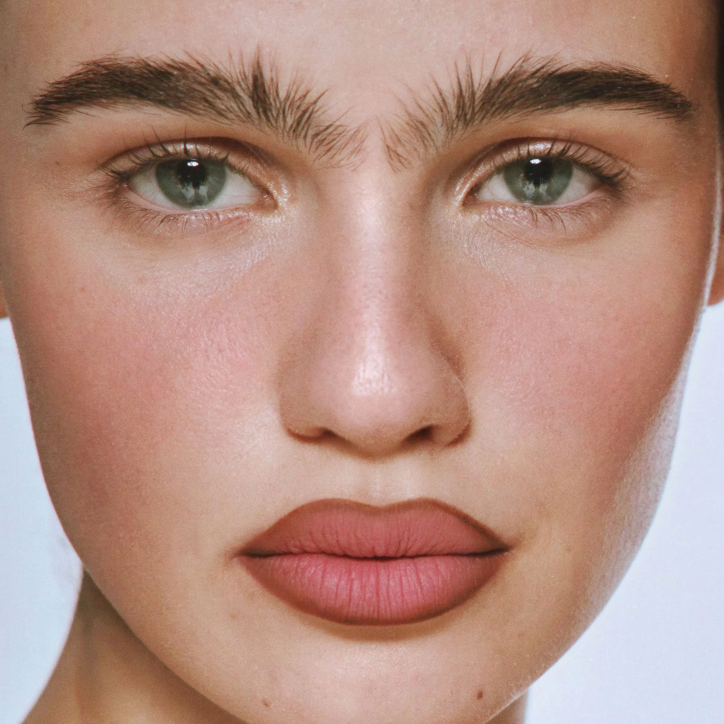 Plumping Powder Matte Lip
