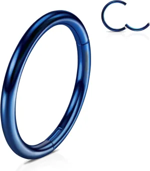 WBRWP 316L Stainless-Steel Hinged Nose Rings Hoop : 20G 18G 16G 14G Womens and Mens Body Pierecing Ring Segment Ring Lip Rings Nose Helix Cartilage Rook EarringsDiameter 6mm 8mm 10mm 12mm